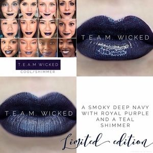 LipSense- Team Wicked